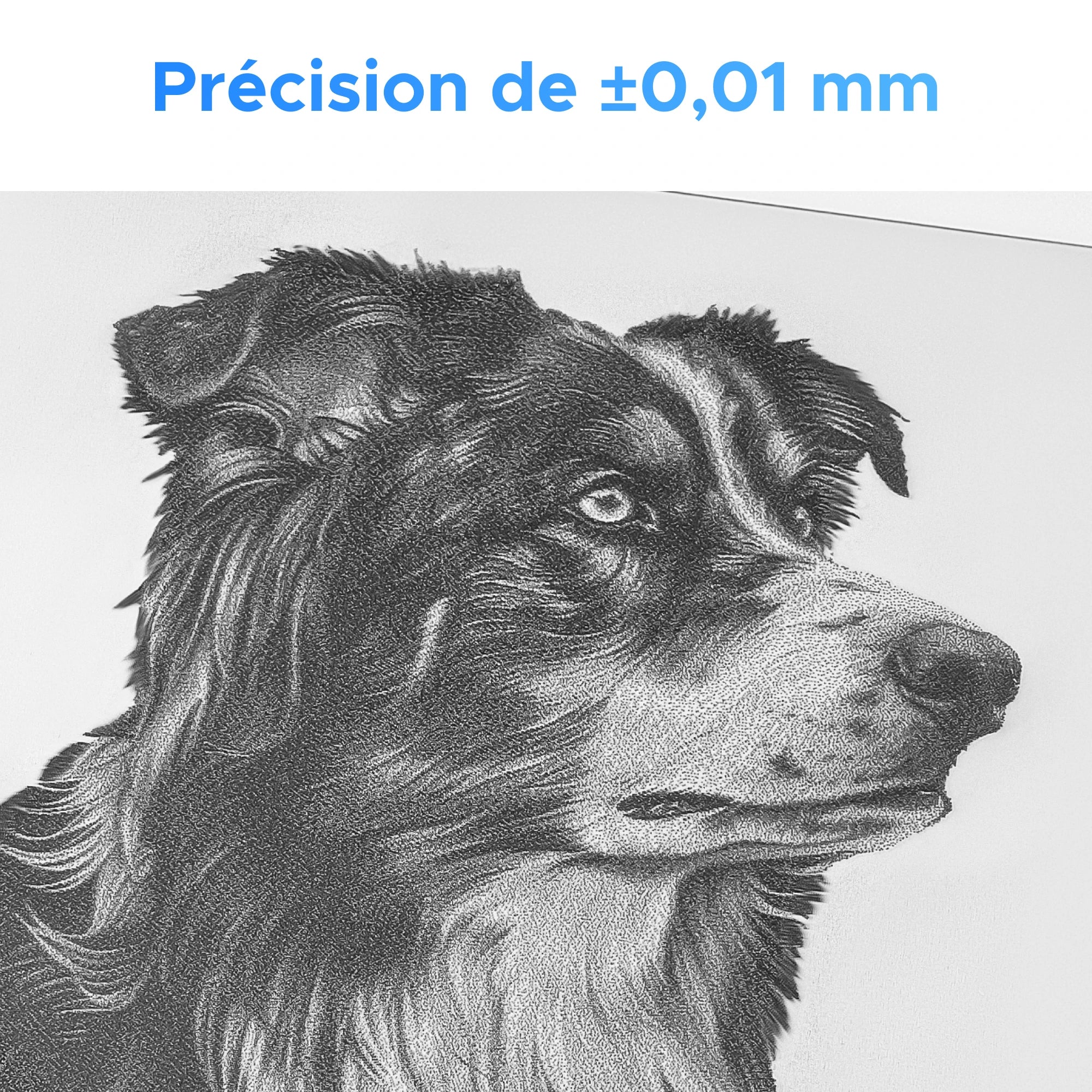 Machine de marquage laser à fibre optique 30W avec autofocus | F30C - Image 6